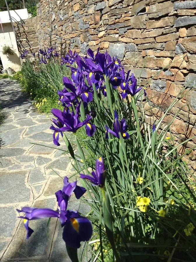 Ferienwohnung Casa Ninin Alassio Italien